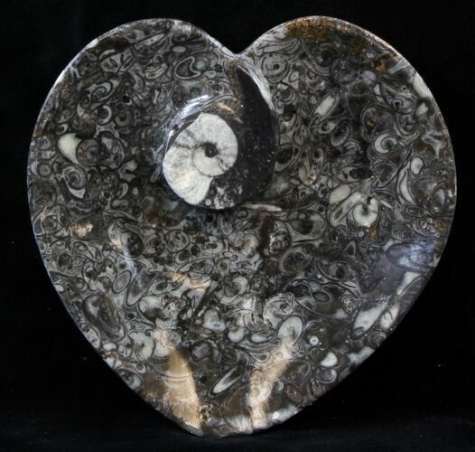 Heart Shaped Fossil Goniatite Dish #39335
